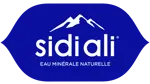 Sidi Ali